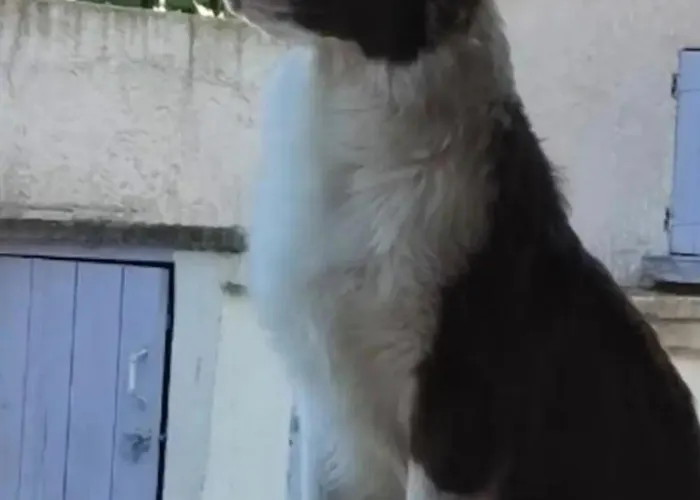 Studio Chez L'Habitant アパート